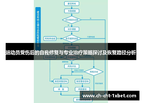 运动员受伤后的自我修复与专业治疗策略探讨及恢复路径分析