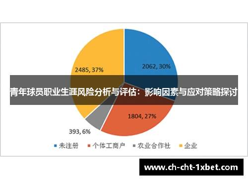 青年球员职业生涯风险分析与评估：影响因素与应对策略探讨
