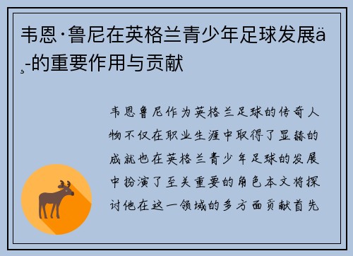韦恩·鲁尼在英格兰青少年足球发展中的重要作用与贡献