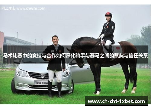 马术比赛中的竞技与合作如何深化骑手与赛马之间的默契与信任关系